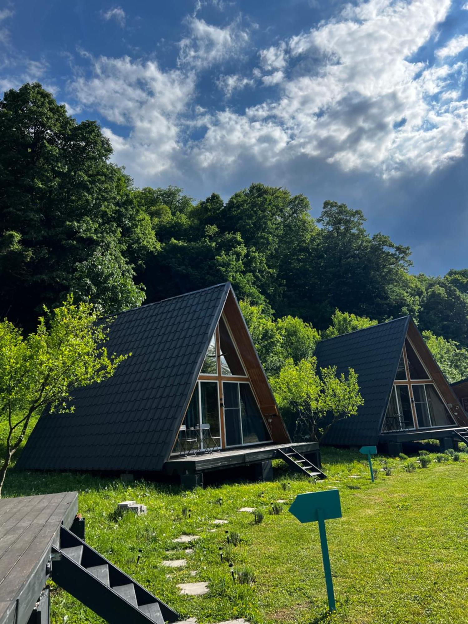 Cabane A-Frame Svinita 외부 사진