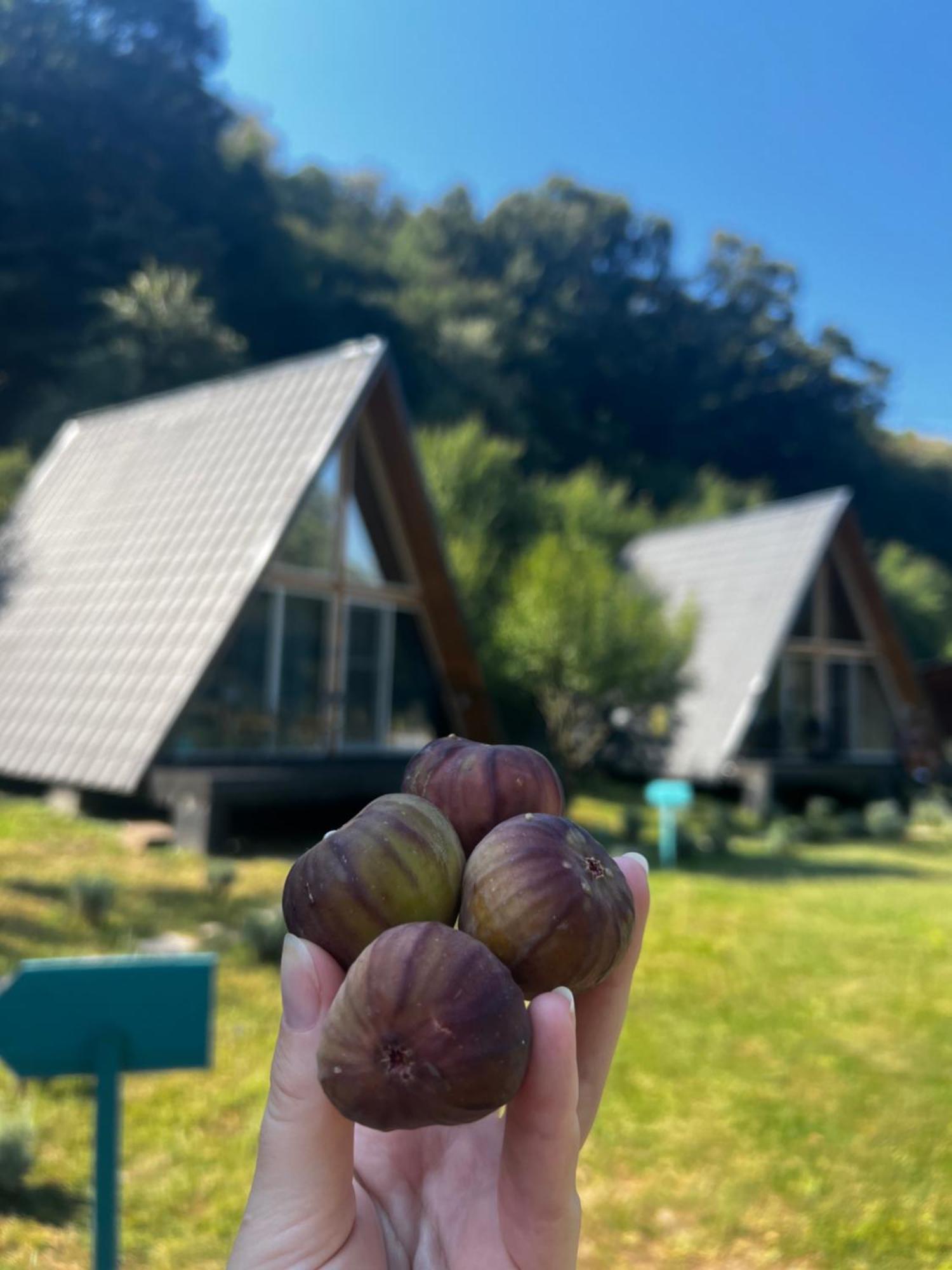 Cabane A-Frame Svinita 외부 사진