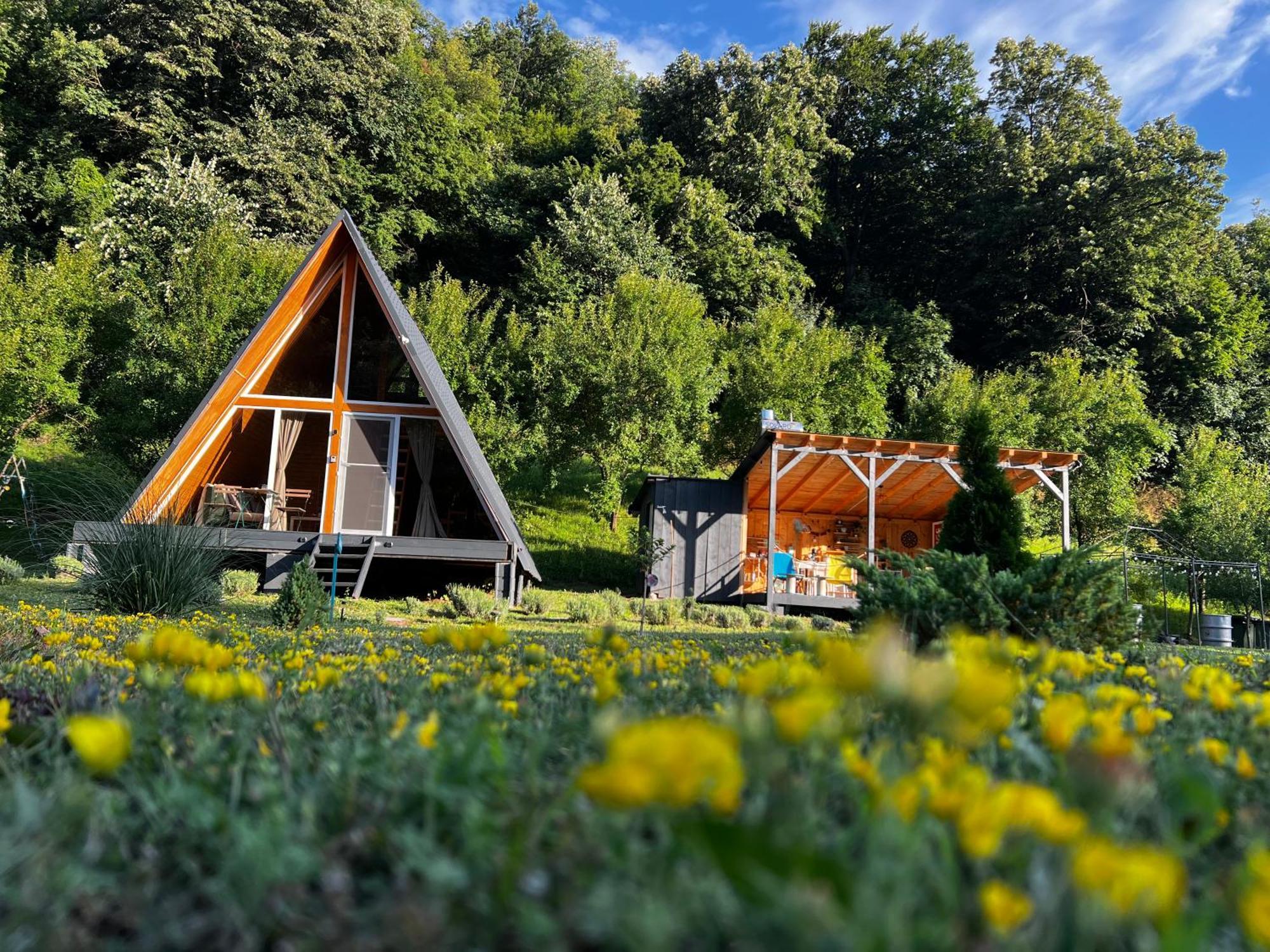 Cabane A-Frame Svinita 외부 사진