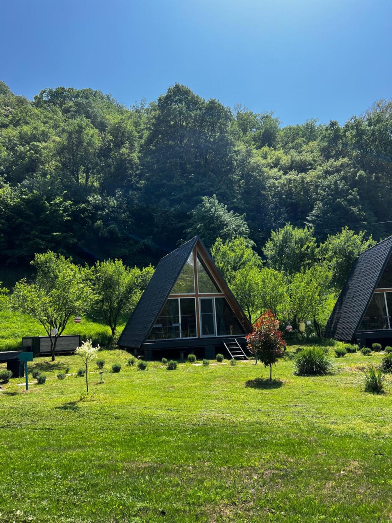 Cabane A-Frame Svinita 외부 사진